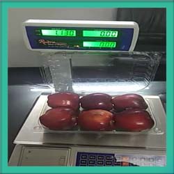 Commercial printing scale