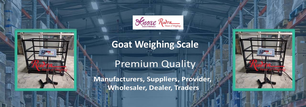Goat Weighing Scale
