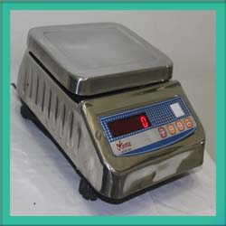 Stainless Steel Scales
